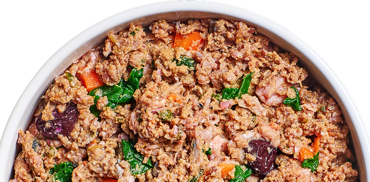 Try FreshRaw™ Meals for free!