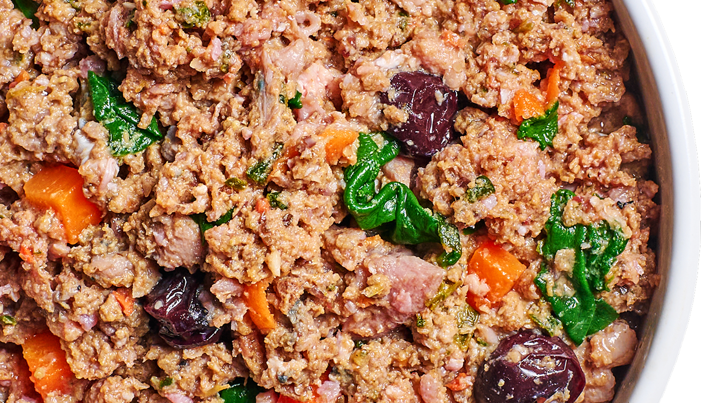 Try FreshRaw™ Meals for free!