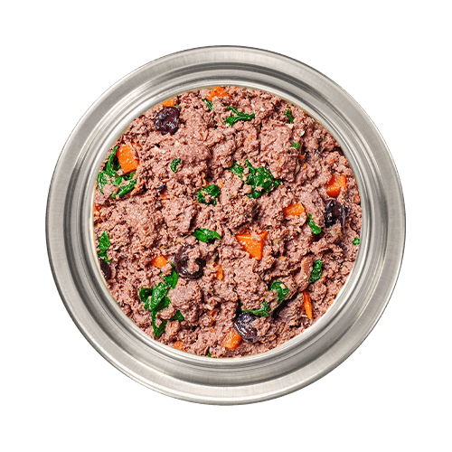 Bowl of Instinct FreshRaw