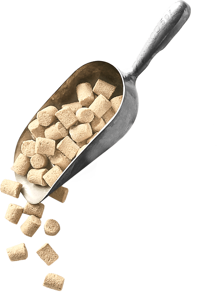 Freeze-Dried Raw Meals