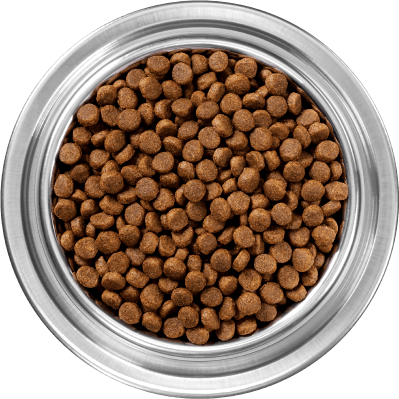 Raw Coated Kibble