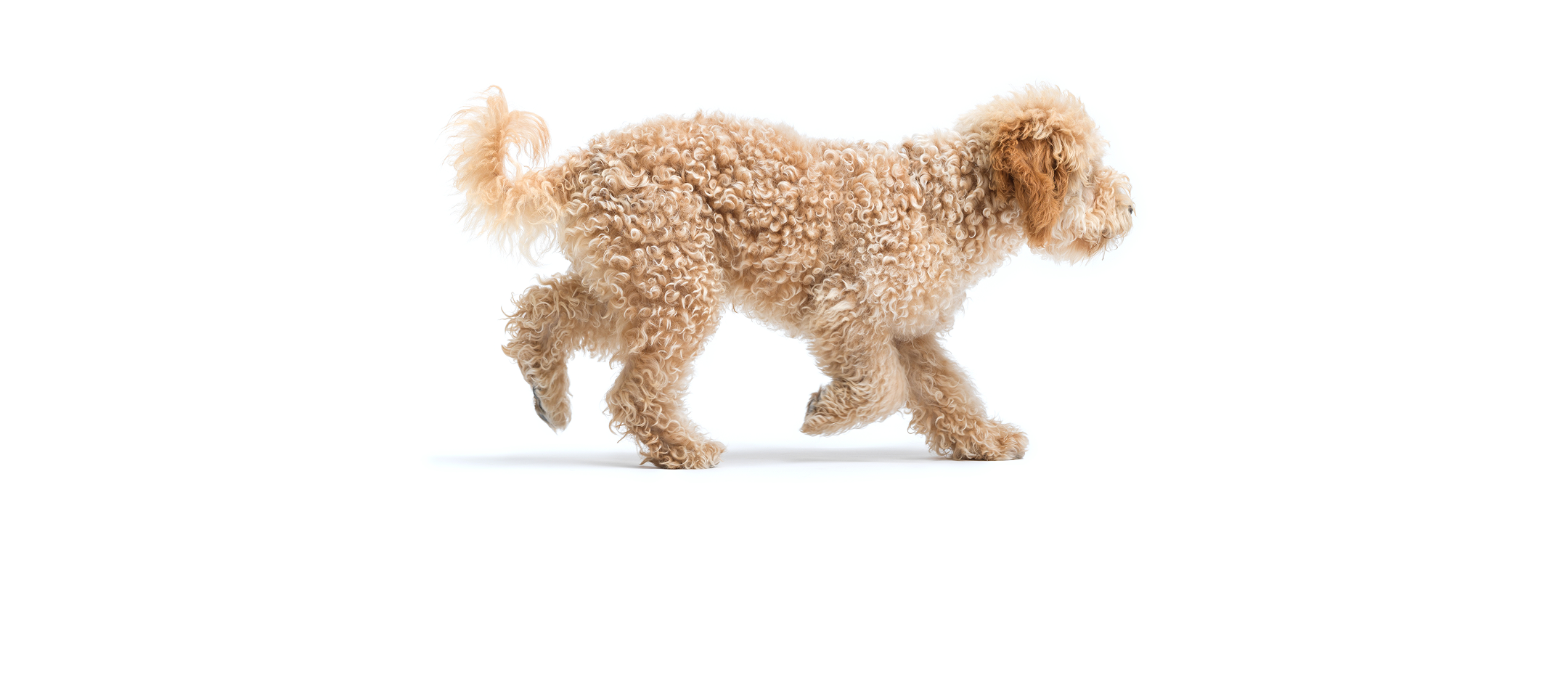 Sustainability in Action