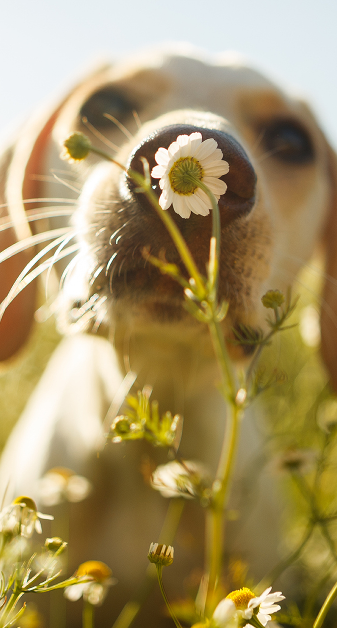 Recyclable Packaging