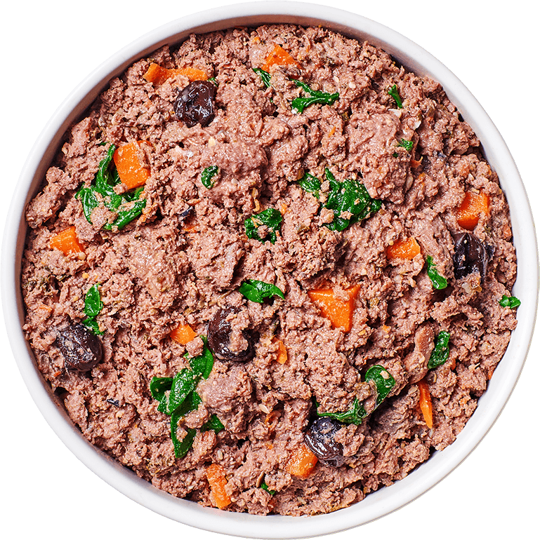FreshRaw Meals