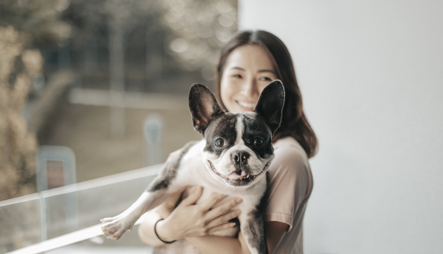 Dog Seasonal Allergies and How to Treat Them Instinct Pet Food