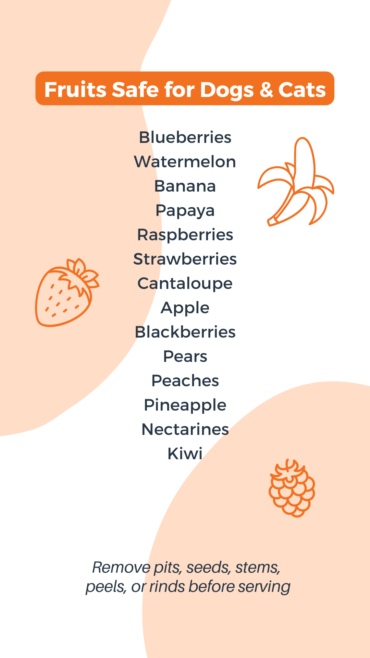 Pet-safe fruits: Blueberries, watermelon, banana, papaya, raspberries, strawberries, cantaloupe, apple, blackberries, pears, peaches, pineapple, nectarines, kiwi