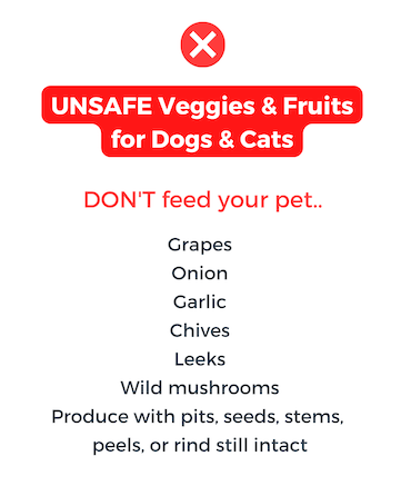 DON'T FEED: Grapes, onion, garlic, chives, leeks, wild mushrooms, produce with pits/seeds/stems/peels/rind still intact