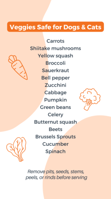 Pet-safe veggies: Carrots, shiitake mushrooms, yellow squash, broccoli, sauerkraut, bell pepper, zucchini, cabbage, pumpkin, green beans, celery, butternut squash, beets, brussels sprouts, cucumber, spinach