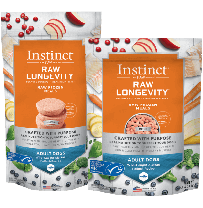 FROZEN RAW MEALS FOR DOGS