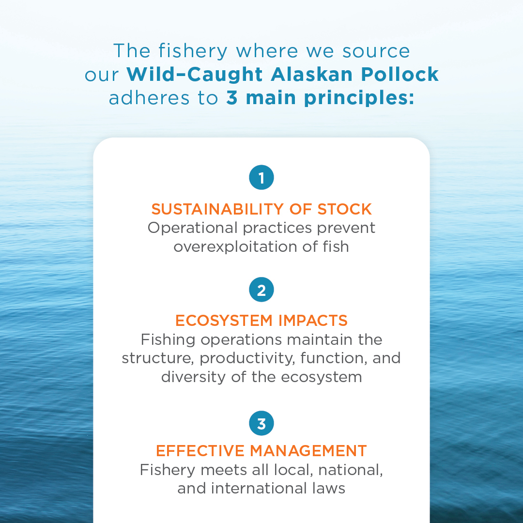 Introducing Sustainable Raw Fish Recipes Instinct Pet Food