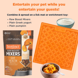 Recipe for an enrichment toy