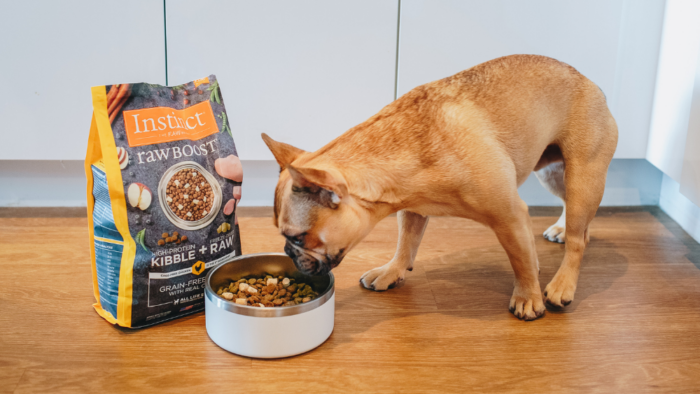 Blog - Instinct Pet Food