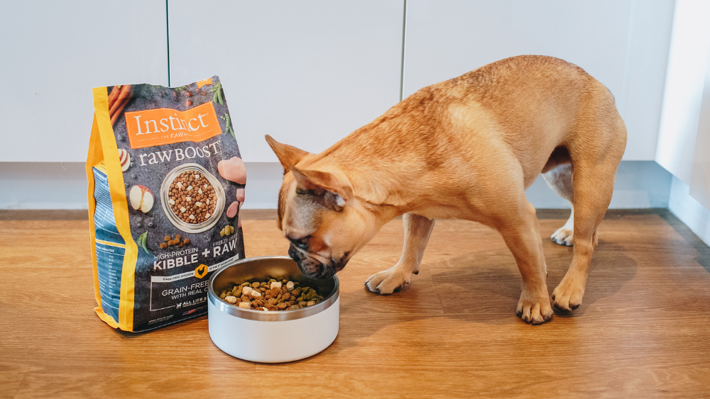 Raw Boost Kibble for Dogs