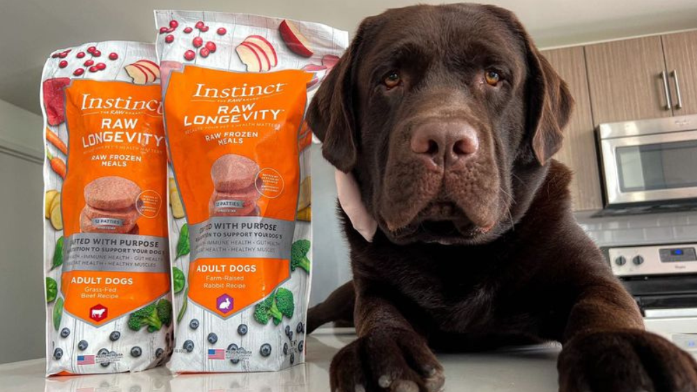 A dog sitting next to bags of Instinct Raw dog food