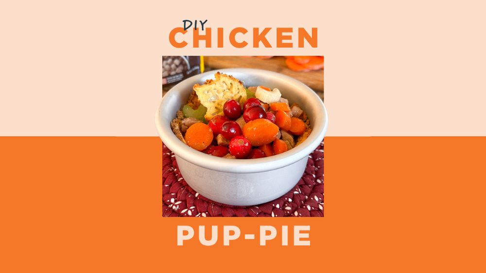 DIY Chicken Pup Pie Recipe