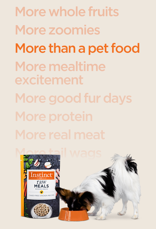 More Than A Pet Food Hero Banner - Mobile