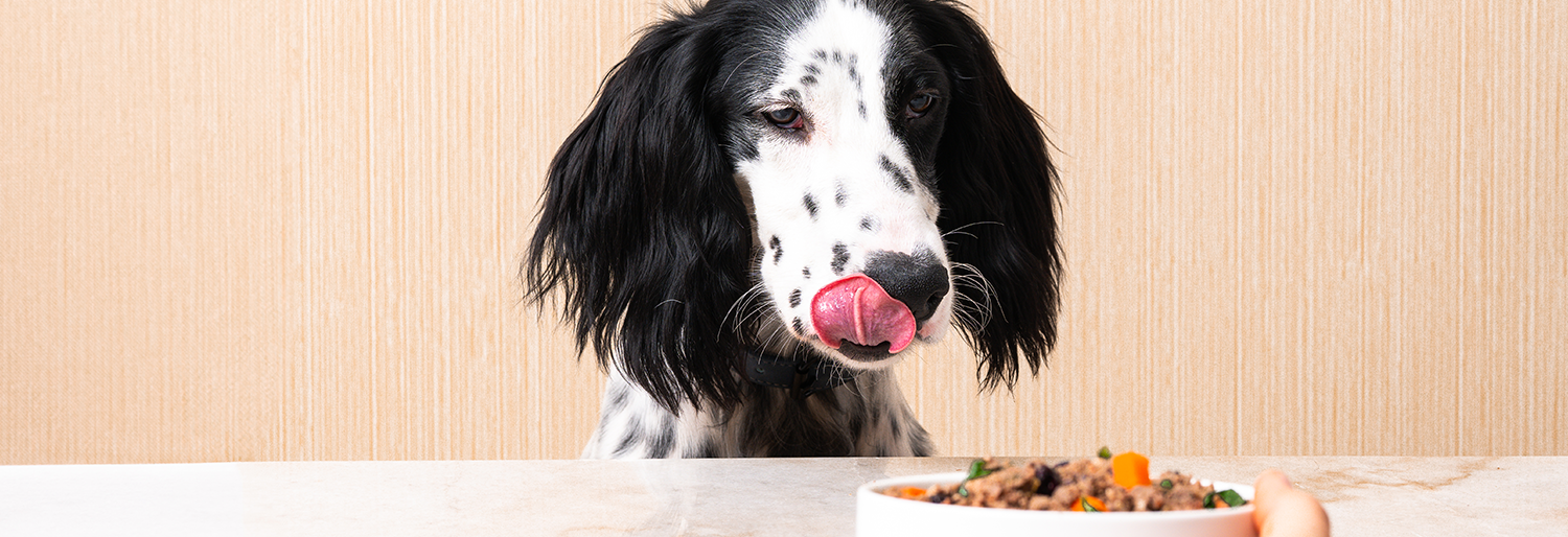 What People Are Saying