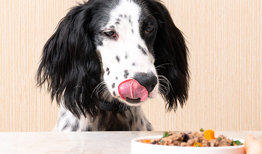 What People Are Saying